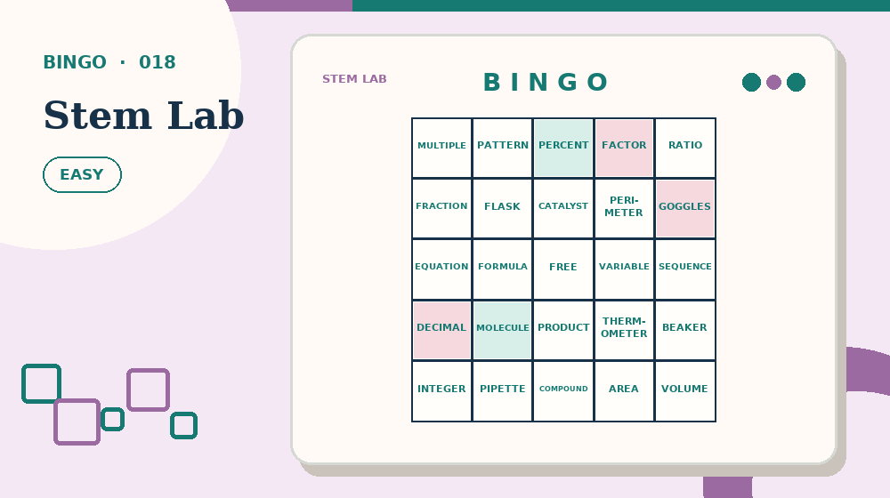 Actual stem lab Bingo activity preview from this puzzle page