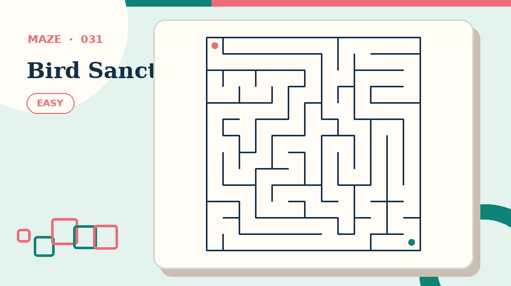 Actual bird sanctuary Mazes activity preview from this puzzle page